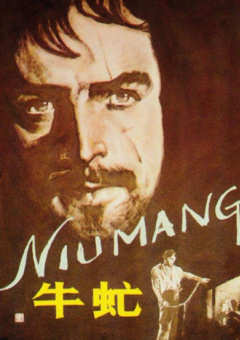 中文字幕视频在线看5